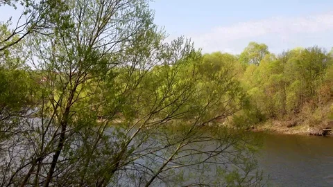 Beautiful view of the river through the trees, reflection of clouds on the water Stock Footage 109258635