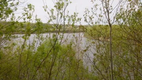 Beautiful view of the river through the trees, reflection of clouds on the water Stock Footage 109258732