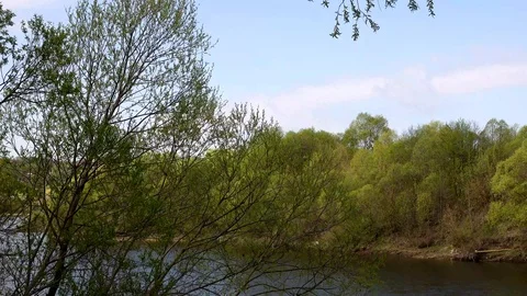 Beautiful view of the river through the trees, reflection of clouds on the water Stock Footage 109258810