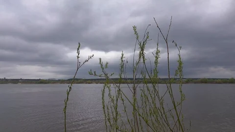 Beautiful view of the river through the trees, reflection of clouds on the water Stock Footage 109258872