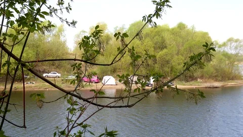 Beautiful view of the river through the trees, reflection of clouds on the water Stock Footage 109259024