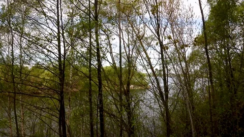 Beautiful view of the river through the trees, reflection of clouds on the water Stock Footage 109259104
