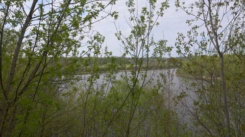 Beautiful view of the river through the trees, reflection of clouds on the water Stock Footage 109259249