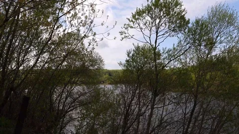 Beautiful view of the river through the trees, reflection of clouds on the water Stock Footage 109259385