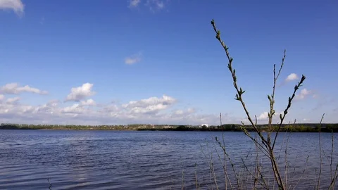 Beautiful view of the river through the trees, reflection of clouds on the water Stock Footage 109261530