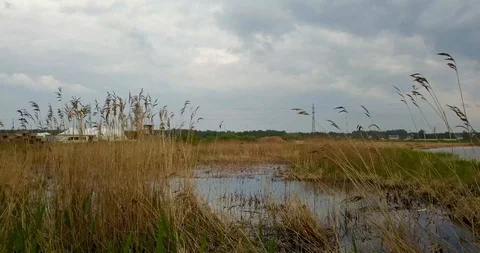 Beautiful view of the river Volga Stock Footage 98649486