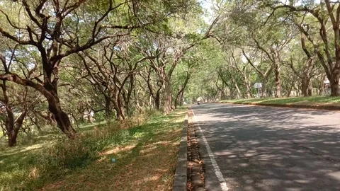 Beautiful view of road Stock Footage 280747874