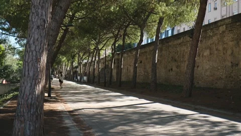 Beautiful View of the Road in the Park with Trees. Perspective. Slow Motion.. Stock Footage 287589021