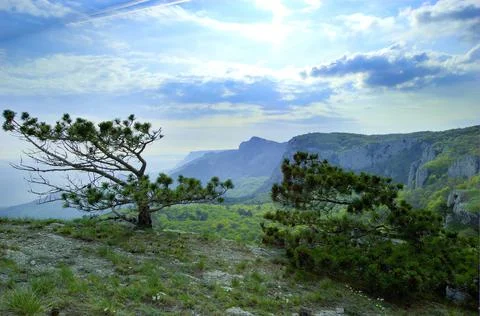 Beautiful view of the rocks and fields. Nature of central Crimea Stock Photos