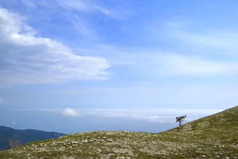 Beautiful view of the rocks and fields. Nature of central Crimea Stock Photos