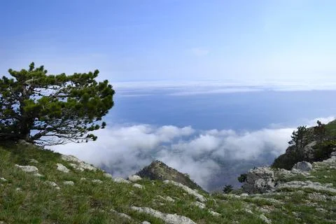 Beautiful view of the rocks and fields. Nature of central Crimea Stock Photos