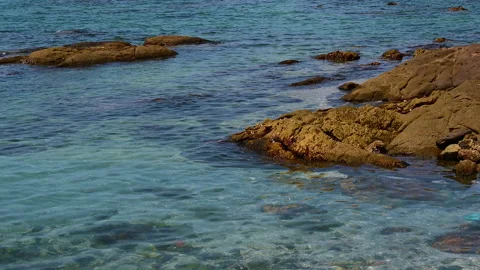 Beautiful view of rocks beach with blue ocean wave. Stock-Footage 155669135