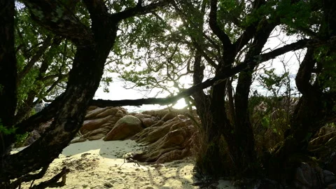 Beautiful view of rocks beach with blue ocean wave. Stock-Footage 156851428