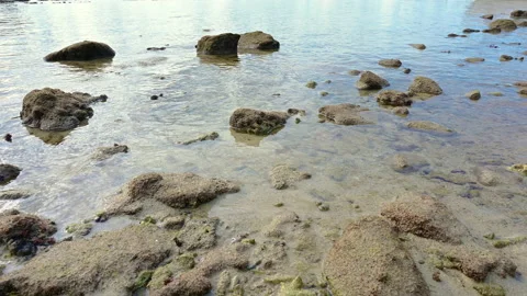 Beautiful view of rocks beach with blue ocean wave. Stock-Footage 157039464