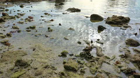 Beautiful view of rocks beach with blue ocean wave. Stock Footage 160710529