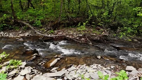 Beautiful view of the rocky stream in the forest	 Stock Footage 149320731