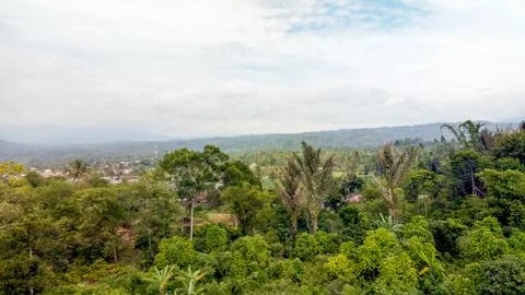 Beautiful view from the rooftop Stockfoto's