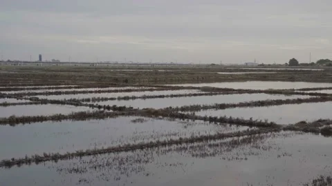 Beautiful View of the Salinas de Aveiro Video stock 237909858