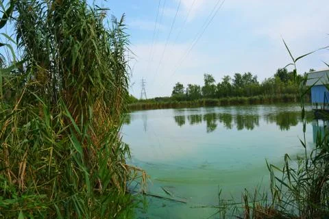 Beautiful view of the Samara River with steep banks and coast, greenery, sky. Stock Photos