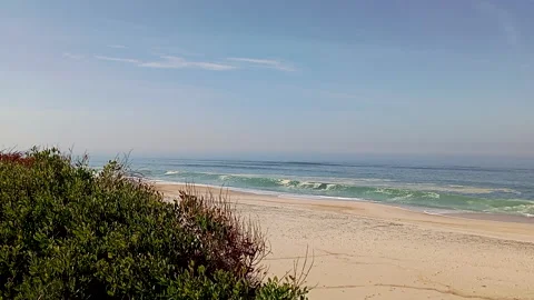 Beautiful view of a sandy beach with ocean waves and green coastal vegetation Stock Footage 321053678