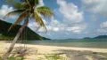 Beautiful view of the sea, beach and palm tree with a swing HD Footage