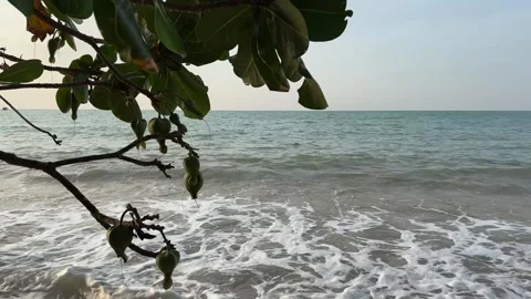 Beautiful view of the sea Stock Footage 277600063