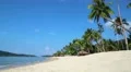 Beautiful view of the sea, palms and beach HD Footage