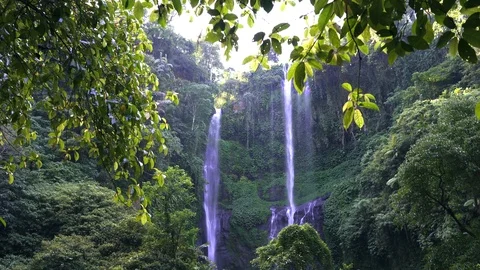 Beautiful view of the Sekumpul Waterfall Stock Footage 126031382
