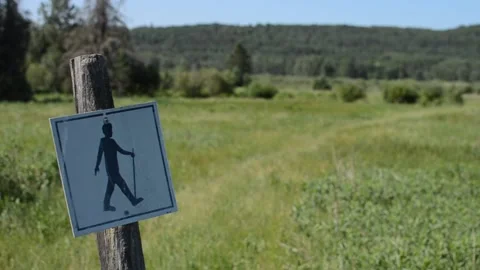 Beautiful view on the Shell River Valley Hiking Trail Stock Footage 159671730