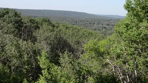 Beautiful view on the Shell River Valley Hiking Trail Stock Footage 159671732