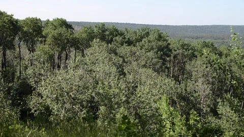 Beautiful view on the Shell River Valley Hiking Trail Stock Footage 159671844