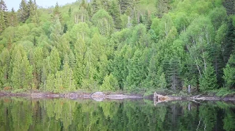 Beautiful view of shoreline Stock Footage 51712137