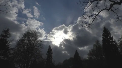 Beautiful view of the sky with silhouettes of trees Stock Footage 76153318