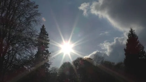 Beautiful view of the sky with silhouettes of trees Stock Footage 76158370