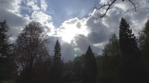 Beautiful view of the sky with silhouettes of trees Stock-Footage 85070413