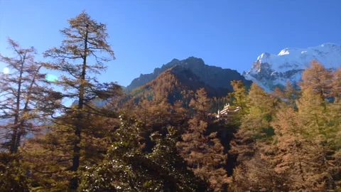 Beautiful view of snow capped Mountain and blue sky in autumn Vídeos de archivo 137094917