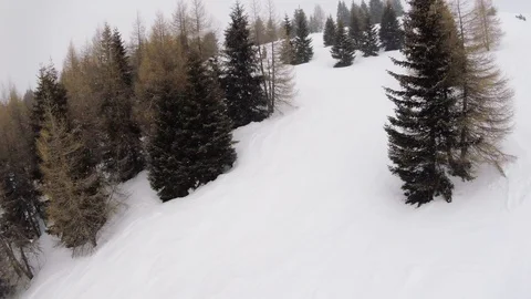 Beautiful view on snowfall in the mountain forest Vídeo Stock 100666476