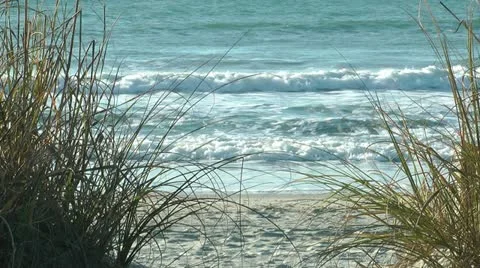 Beautiful view of soft crashing waves along the shore from behind sea grass Stock Footage 11092643