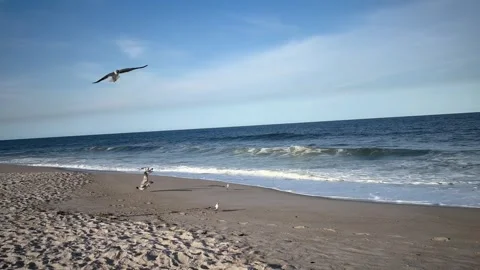 A beautiful view of some ocean waves Stock Footage 276237565