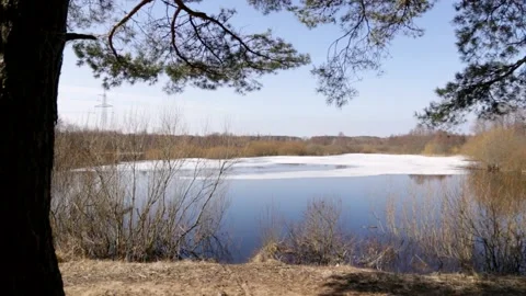 Beautiful view of the spring lake with ice because of the trees Video stock 152946311