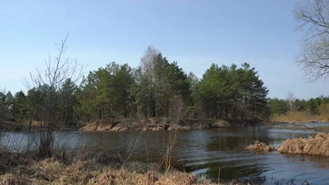 Beautiful view of the spring river with forest Video stock 159356391