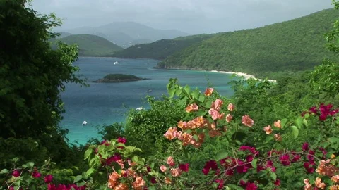  Beautiful view of St. John, USVI with Bouganvillas Vídeos de archivo 72571387