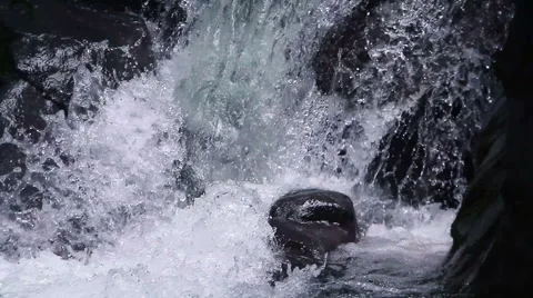 Beautiful view of the stream in Mt. Emei at daytime Stock Footage 40765143