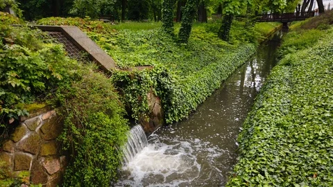 Beautiful view of the stream in the Park Video stock 108482262