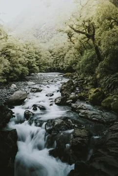 Beautiful view of a stream Stock Photos