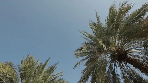 Beautiful view of the Sultan Qaboos Grand Mosque in Muscat, Oman. Panning motion Stock Footage 117282932
