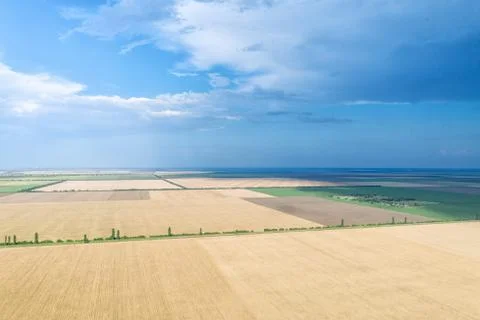 Beautiful view of the summer fields made from air. Stock Photos
