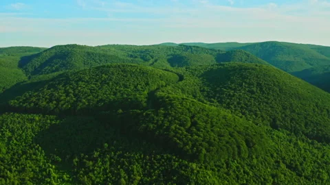 Beautiful view on summer landscape Stock Footage 150205626