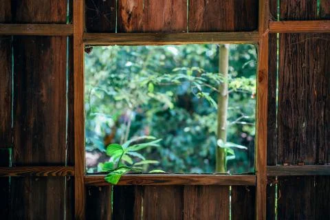 A beautiful view of summer from the old rustic wooden window Stock Photos