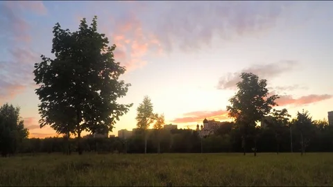Beautiful view of a summer park at sunset timelapse Stock Footage 78016953